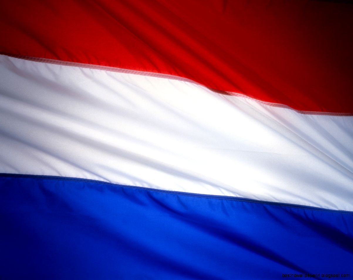 netherlands flag   Free Large Images