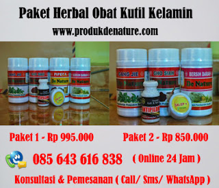 Obat kutil kelamin