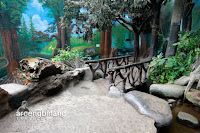 taman akuarium air tawar