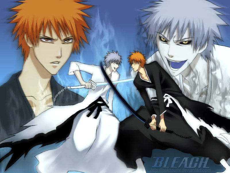 Bleach Cosplay Costumes: Pictures of Bleach Characters