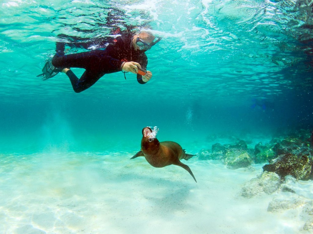 Wetsuit for snorkeling in Galapagos Scuba Diving Galapagos Tours