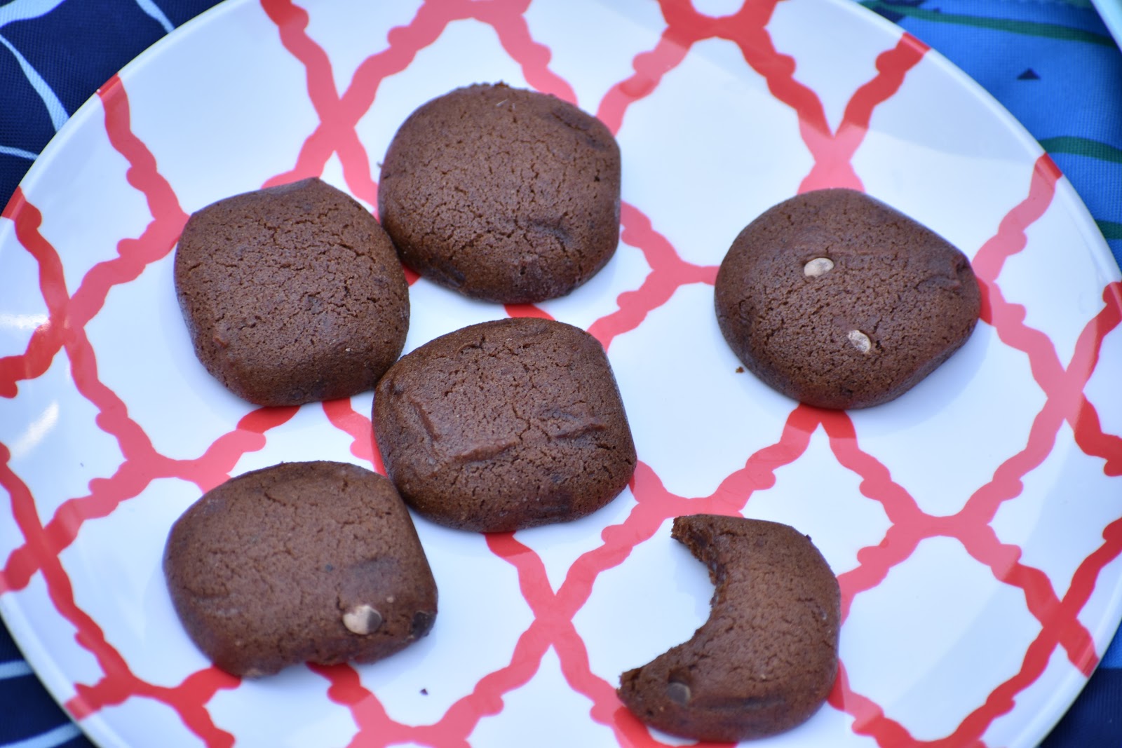 Easy Picnic Foods for Gluten Free and Dairy Free Families Living