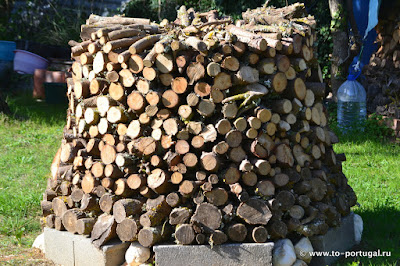 дрова в Португалии