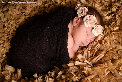 Top Marietta / Atlanta GA Newborn Baby / Infant Portrait / Child / Maternity / Family / High School Senior / Event Photographer 