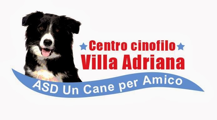 Il blog del centro cinofilo villa adriana - asd un cane per amico