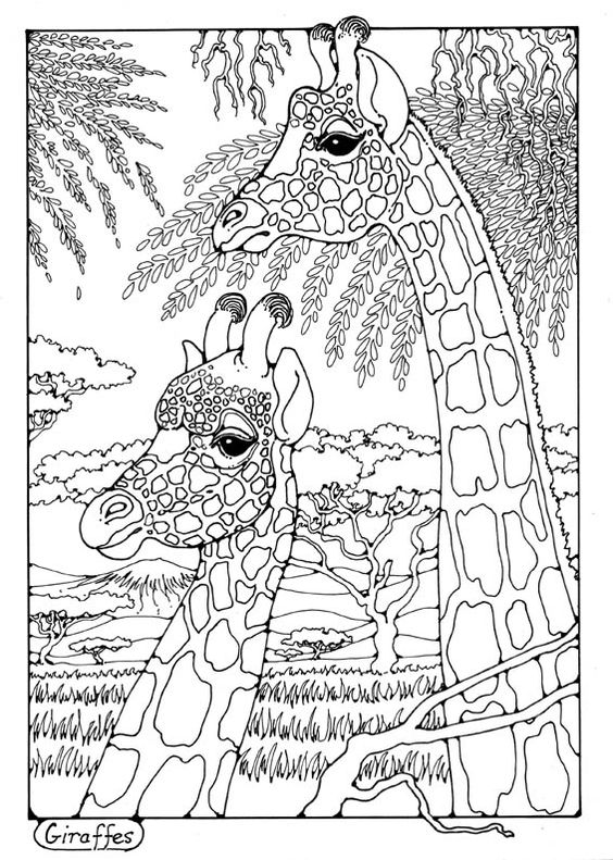 Tranh tô màu hai mẹ con hươu cao cổ và những cái cây