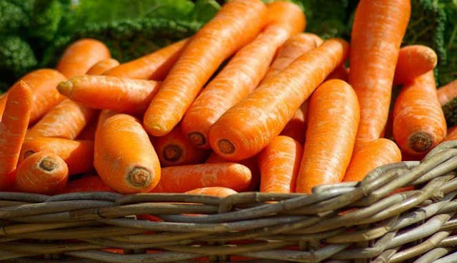 7 MAKANAN INI BISA CEGAH PENYAKIT KANKER 7 MAKANAN INI BISA CEGAH PENYAKIT KANKER