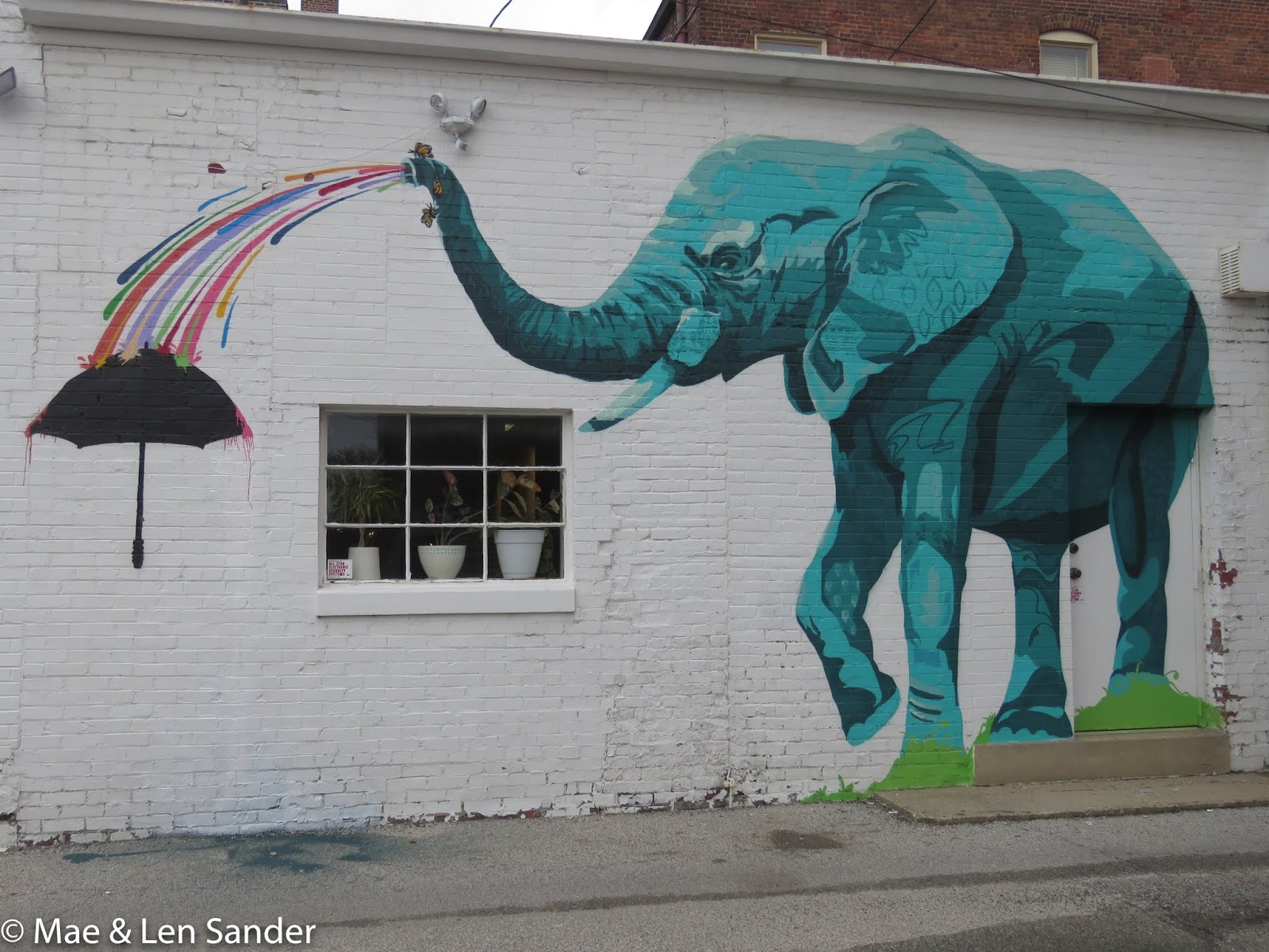Mae's Food Blog An Elephant Mural