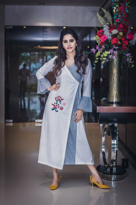 Nabha Natesh at Nannu Dochukunduvate promotion