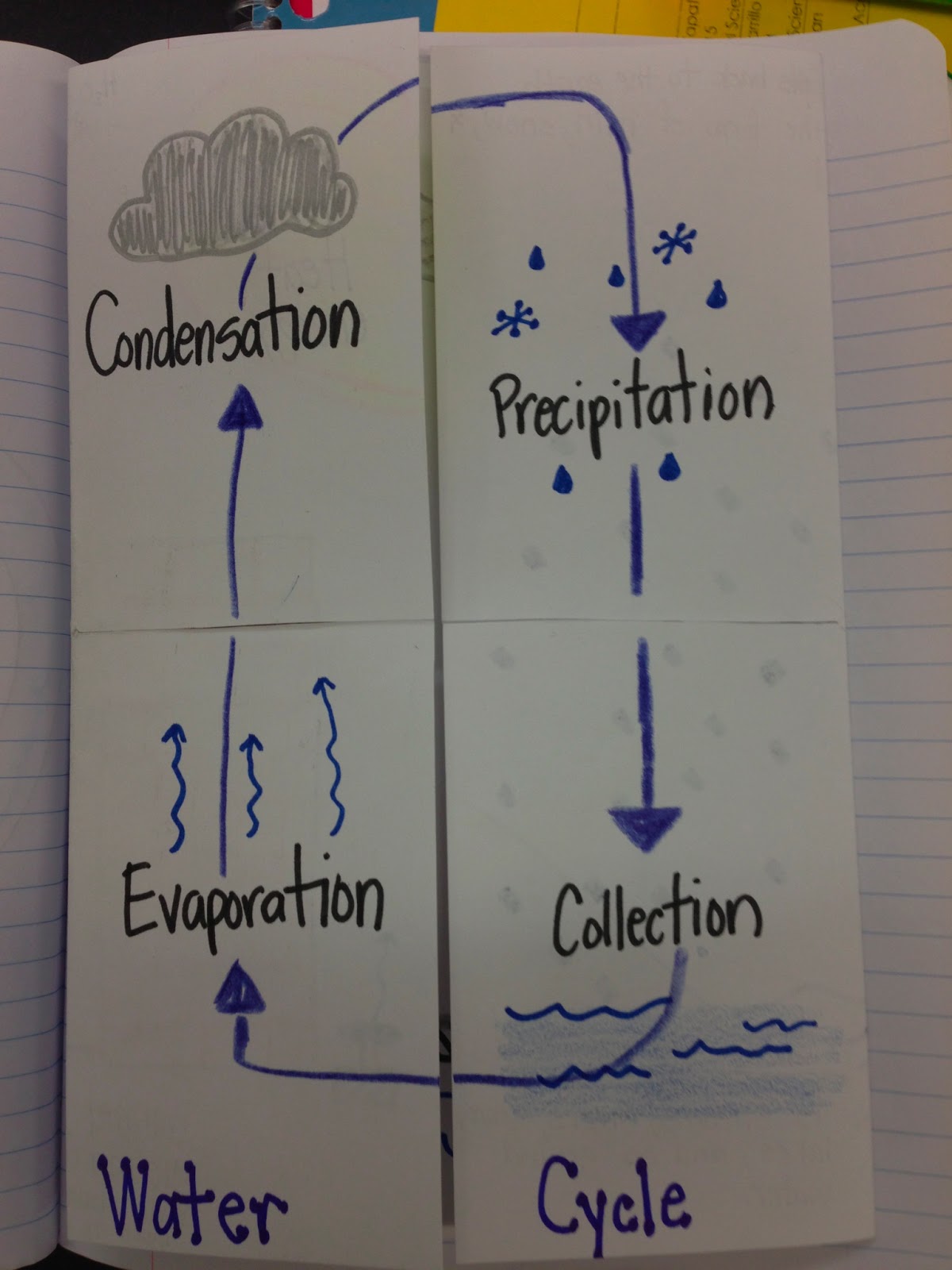5th Grade Water Cycle