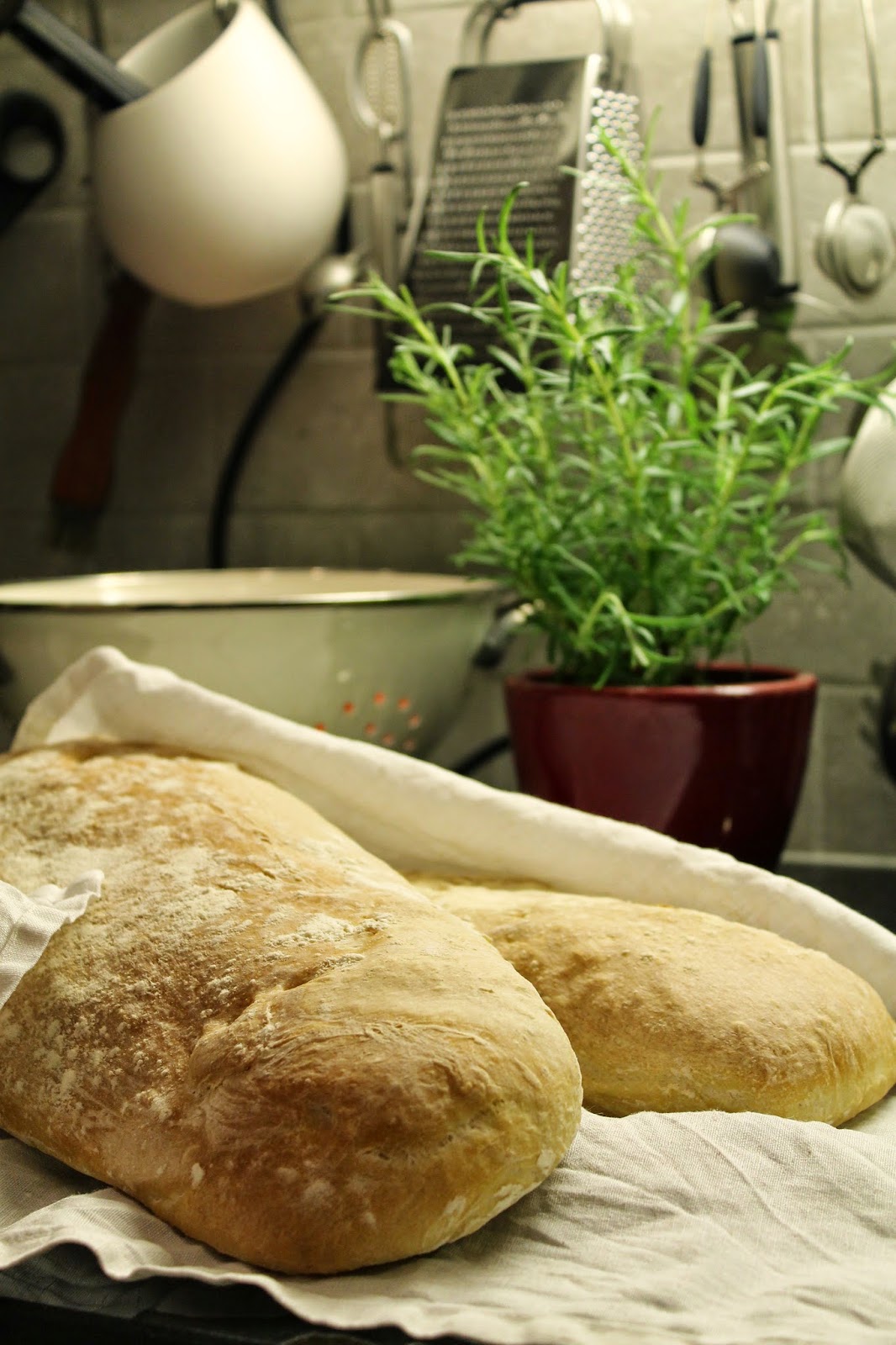 Makumatkoja Maailman Keitti ihin Keittokirja Ciabatta