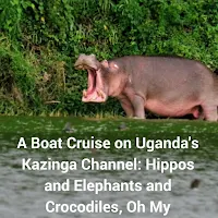 A Boat Cruise on Uganda's Kazinga Channel: Hippos and Elephants and Crocodiles, Oh My