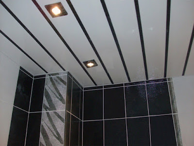latest bathroom ceiling designs catalogue 2019 