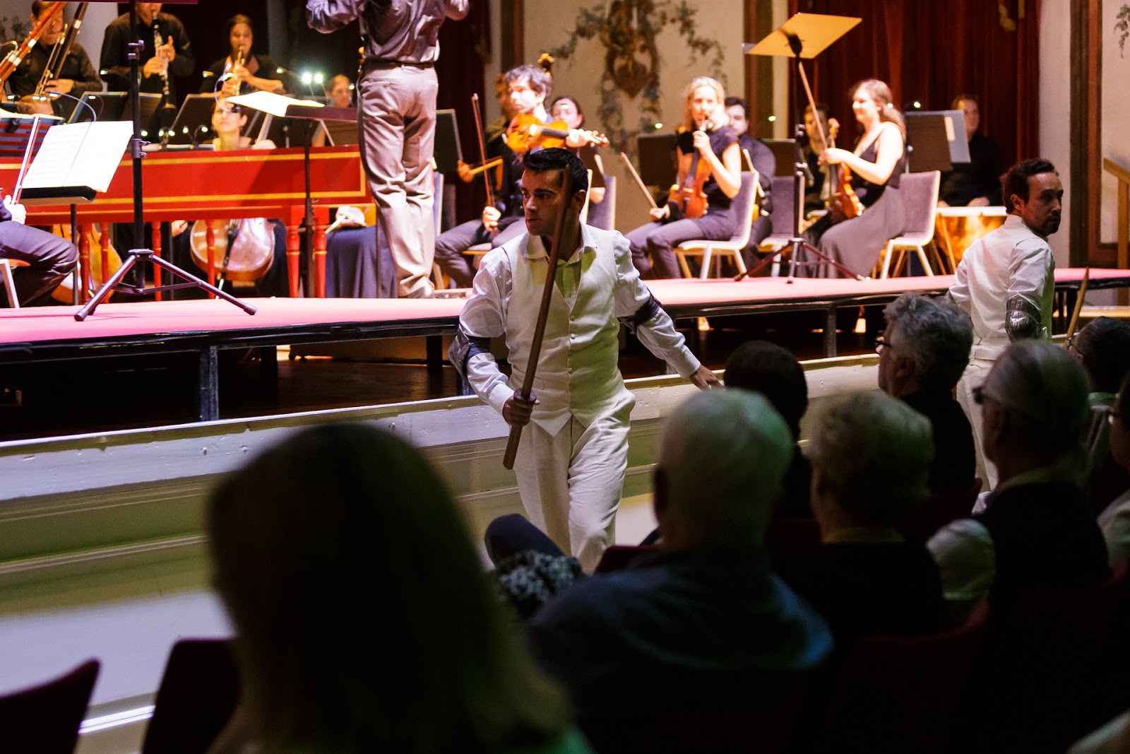 Hugill Haydn at Eisenstadt Armida at Herbst Gold festival