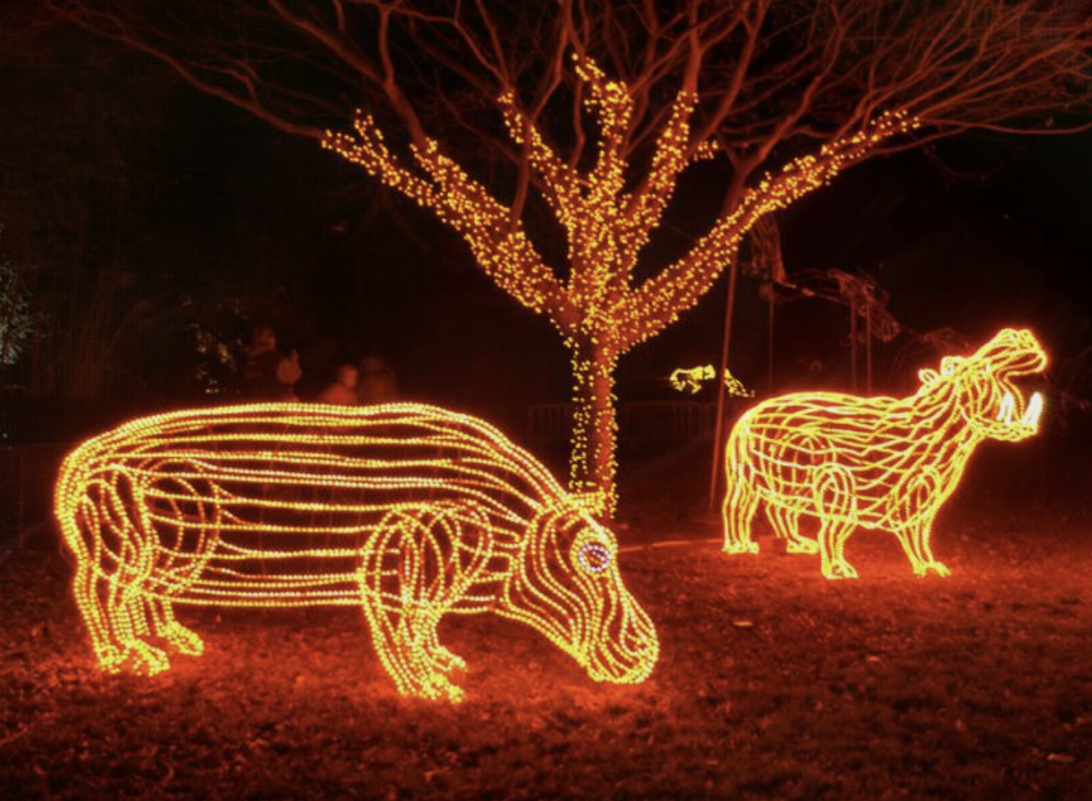 Day 2 of BLOGMAS 4 Must See Christmas Light Displays In Portland