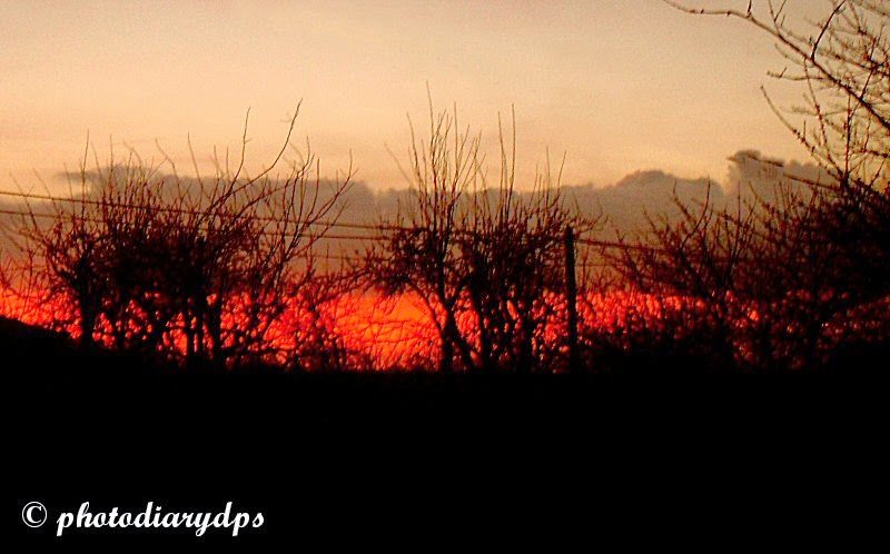 PhotoDiary: 25/01/2015 Another chilly day though the sun did come out ...