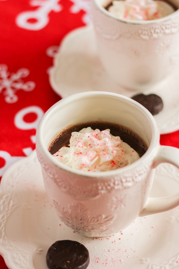 This boozy adult hot chocolate is rich, creamy, and oh so tasty. Made with dark chocolate, peppermint schnapps and creme de menthe, it will definitely warm you up on a cold day!