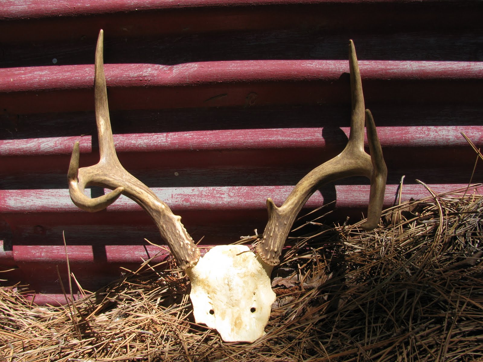 Roland Dressler 409.750.3688 • Estate Sales • Business Liquidations