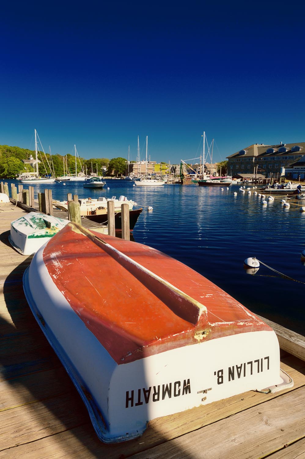The Amazing Life Woods Hole, Cape Cod
