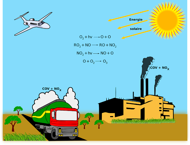 Environmental & Air Pollution Effects in Hindi Environmental & Air Pollution Effects in Hindi