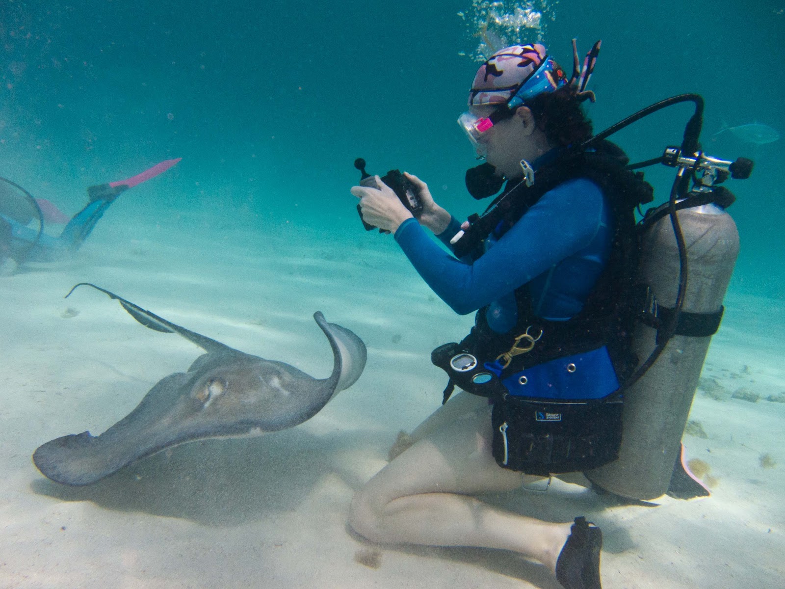Tips for choosing a digital camera for underwater shooting Digital
