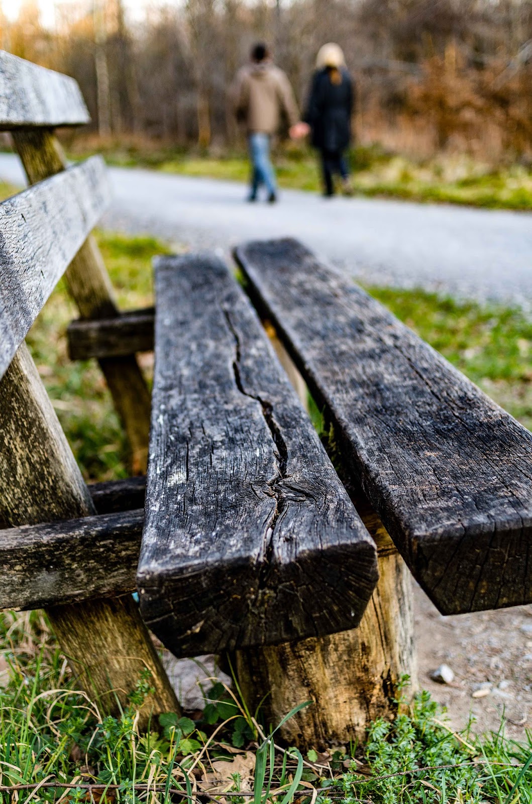 stuttgartcooking: Badisches Schäufele mit Kartoffelsalat und Ackersalat stuttgartcooking: Badisches Schäufele mit Kartoffelsalat und Ackersalat