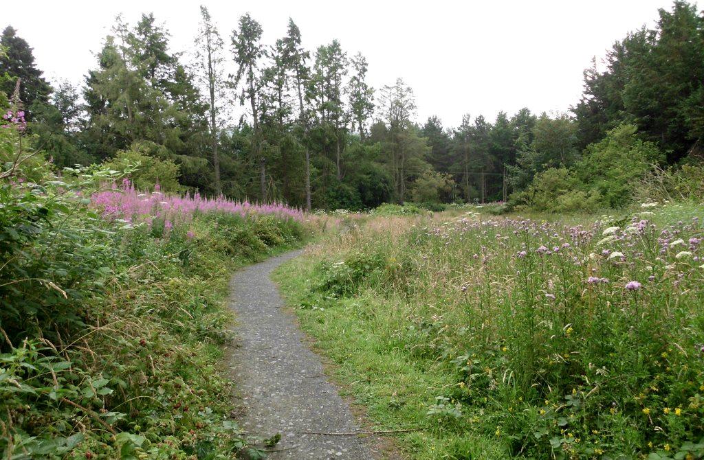 My Daily Walk Jubilee Walk, Auchterarder