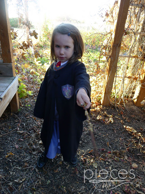 Pieces by Polly: Super Fast and Easy DIY Harry Potter Robe from a T ...