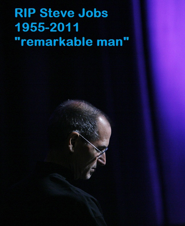 What's the Buzz, Tell me What's Happening