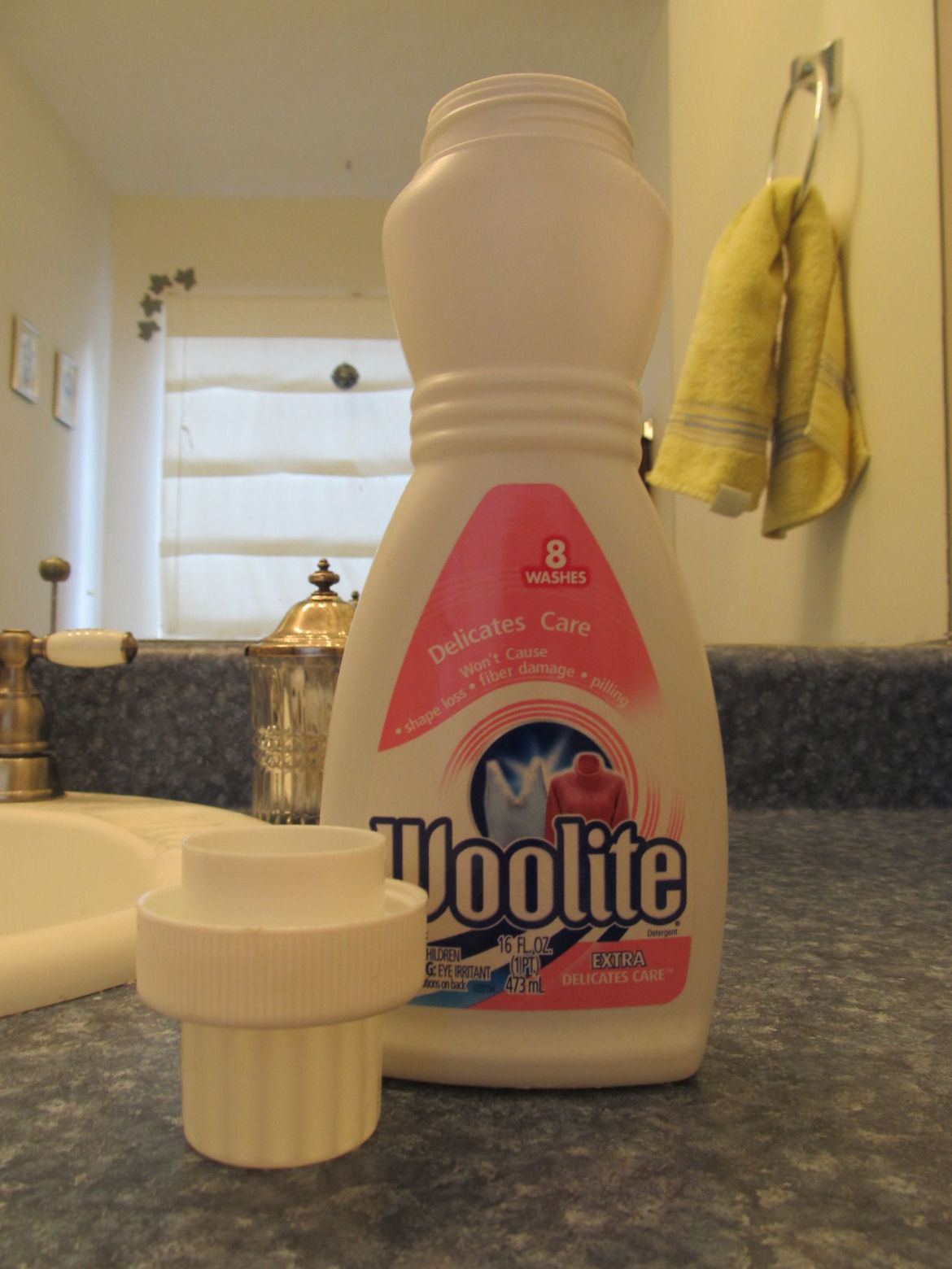 Domestic Servitude Washing Delicates