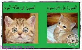 images%2B%25281%2529