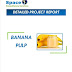 Banana Pulp Manufacturing Project Report