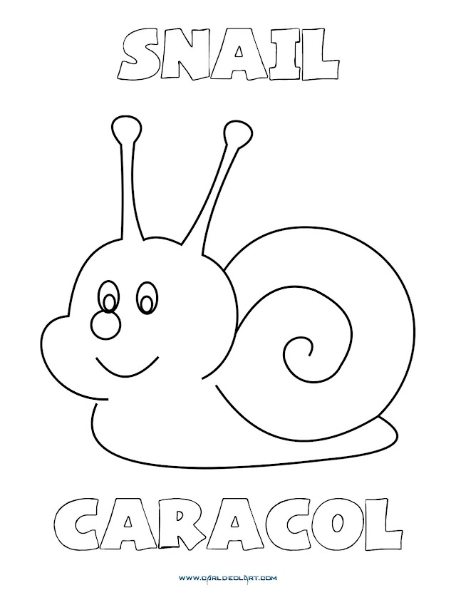 Dibujos Inglés - Español con C: Caracol - Snail