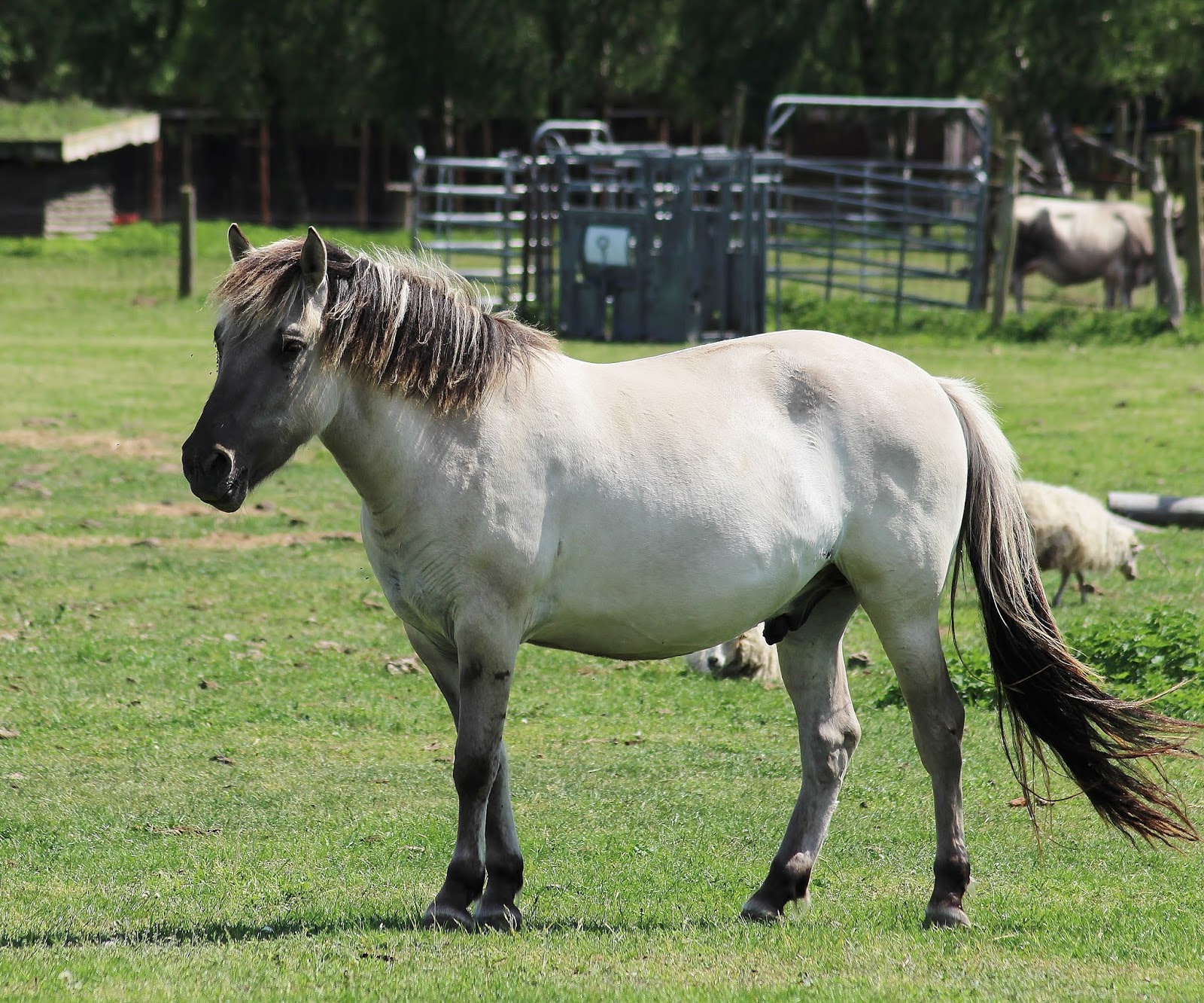 Schminktussis Welt Beauty Fashion Lifestyle aus der Nähe Berlins