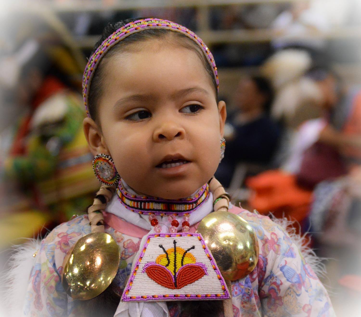 The New BigMamaBlaze Blog How is the Apache Indian nation organized?