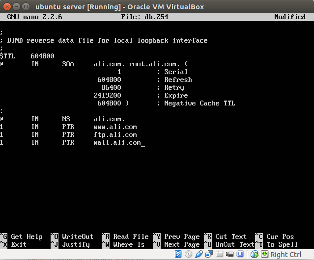 Dns сервер ubuntu. Dns сервер ubuntu