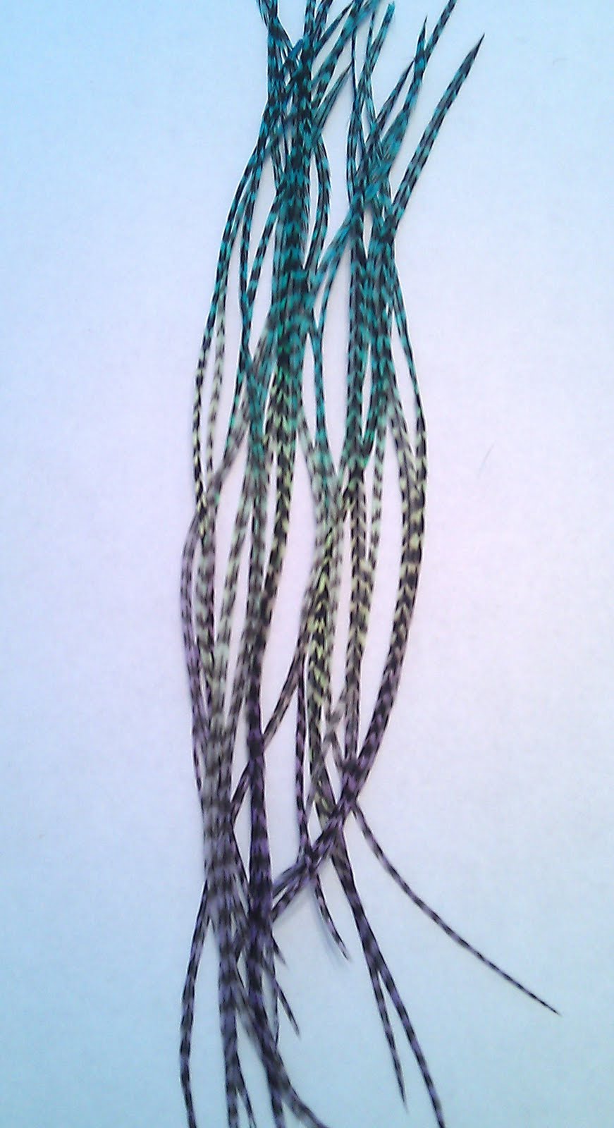 Plume4You Feather Hair Extensions Tie Dye Feathers!
