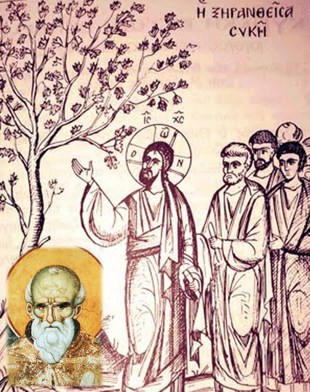 Οι επιστήμονες μπορούν να χρησιμοποιήσουν τις σχετικές χρονολογες για να υπολογίσουν την ακριβή ηλικία των απολιθωμάτων