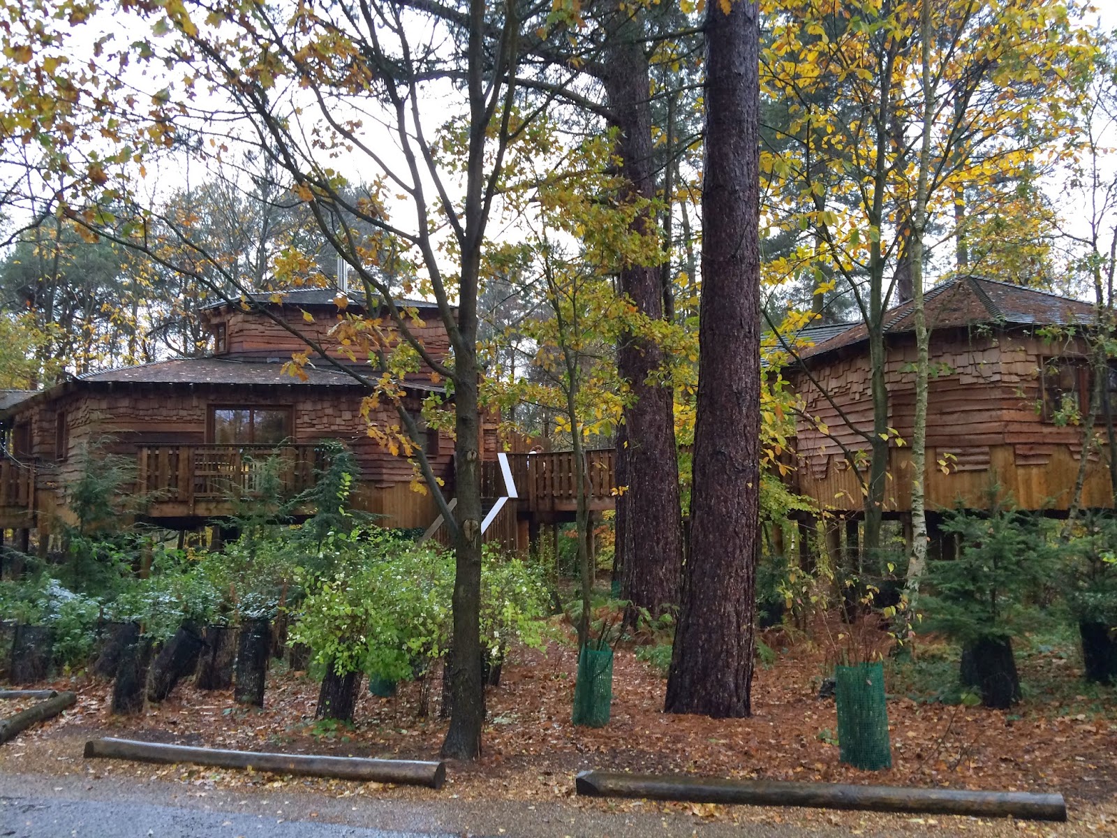 Team Stokey Centre Parcs Sherwood Forest
