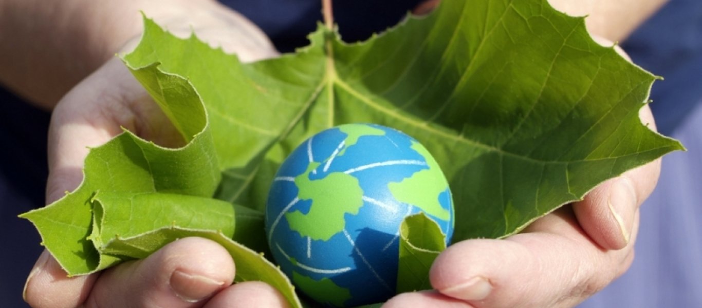 международное экологическое отношение