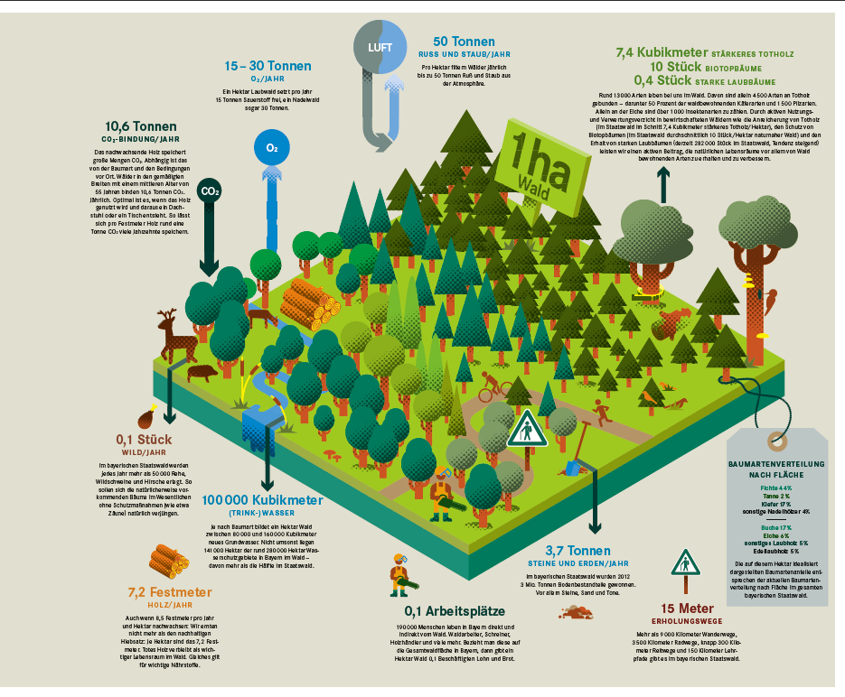 CAEPSELE Bayrische Staatsforsten / 1 ha