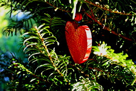 "The True Essence Of Giving: Give From The Heart"