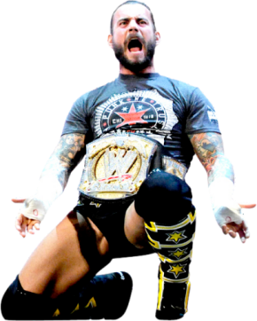Indian Official Channel of WWE Cm Punk Wins again  What's going on??