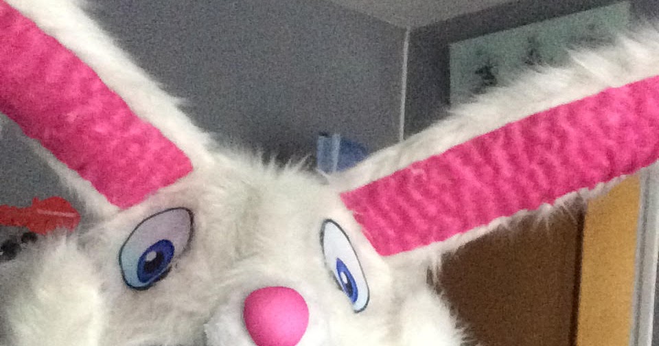 Motorcycle Helmets Rabbit Helmet Cover