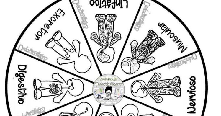 Seneca sports betting