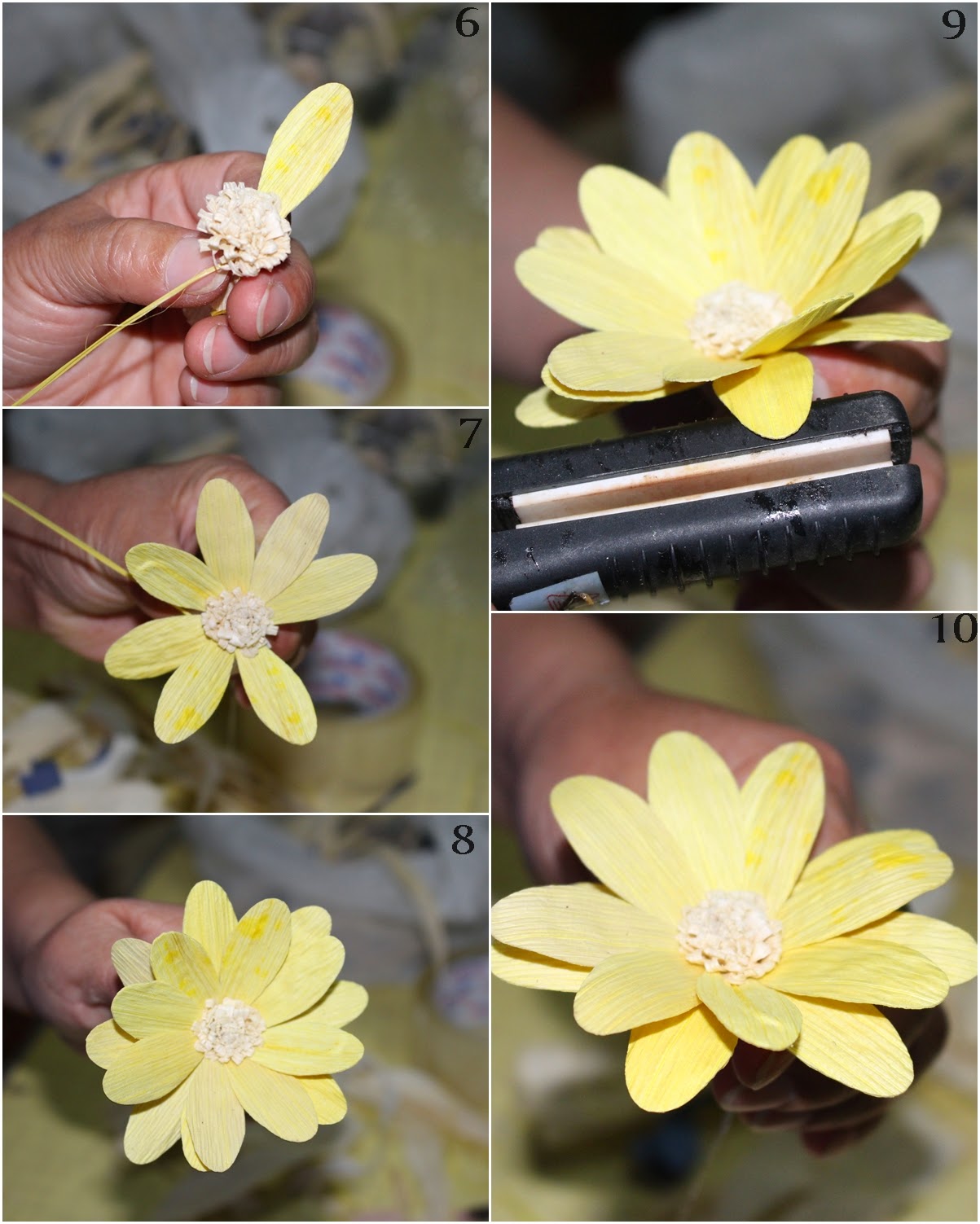 Reduce. Reuse. Recycle. Replenish. Restore. DIY How To Make a Daisy