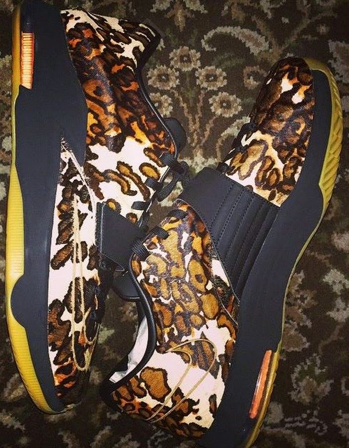 kd 7 pony hair