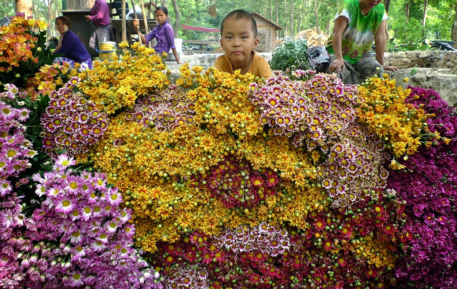 TRAVELS (and more) WITH CECILIA BRAINARD Garden The Flower Market of