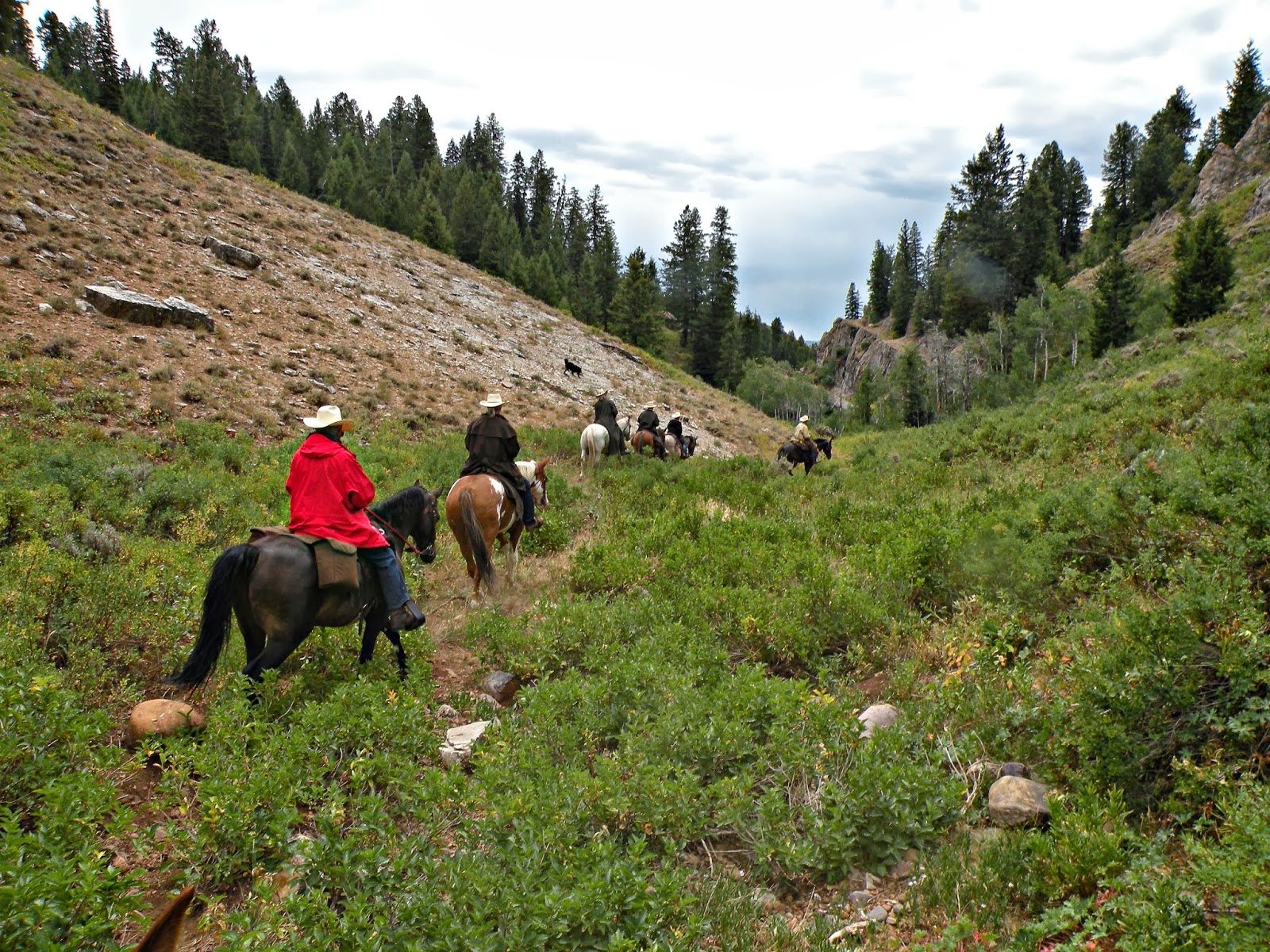 Dream Packer Trail Adventures: Monte Cristo, Utah, Lightning Ridge