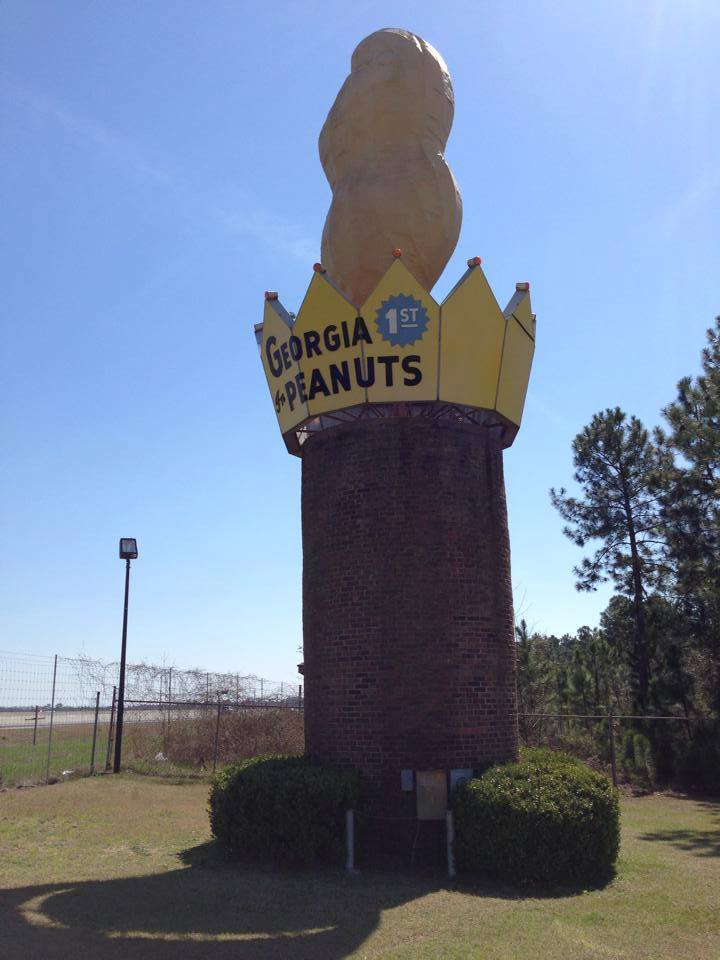 World's Largest Peanut!